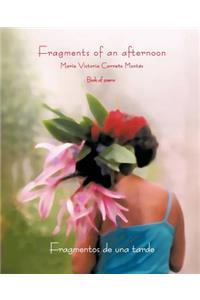 Fragments of an Afternoon