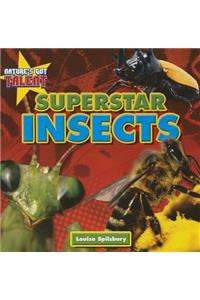 Superstar Insects