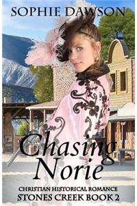 Chasing Norie