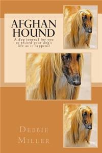 Afghan Hound