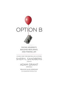 Option B