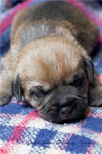 Border Terrier February Notebook Border Terrier Record, Log, Diary, Special Memories, To Do List, Academic Notepad, Scrapbook & More