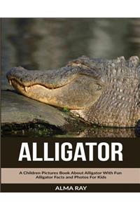 Alligator