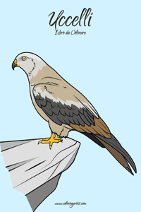 Uccelli Libro da Colorare 1