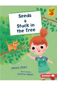 Seeds & Stuck in the Tree