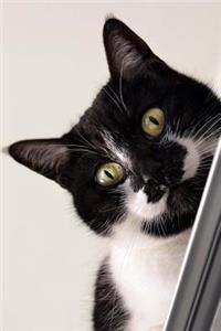 Curious Green-Eyed Black and White Cat Journal
