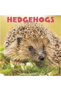 Hedgehogs 2020 Wall Calendar