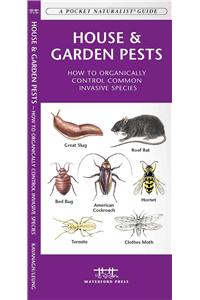 House & Garden Pests