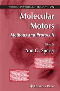 Molecular Motors