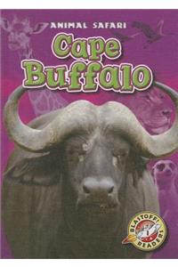 Cape Buffalo