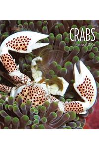 Crabs
