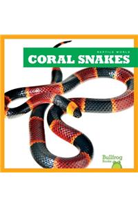 Coral Snakes