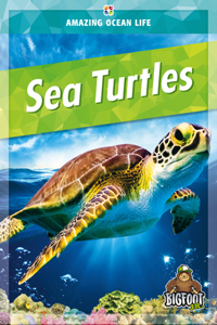 Sea Turtles