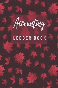 Accounting Ledger Book