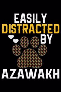 Easily Distracted by Azawakh
