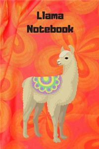 llama notebook