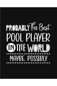 Probably the Best Pool Player In the World. Maybe. Possibly.
