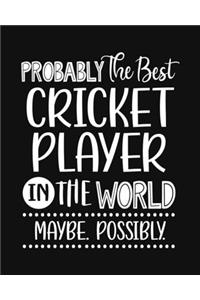 Probably the Best Cricket Player In the World. Maybe. Possibly.