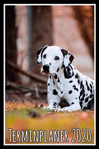 Terminplaner 2020
