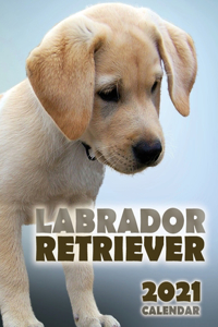 Labrador Retriever 2021 Calendar