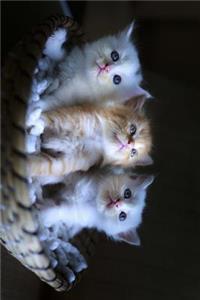 Cute Kitten Trio in a Woven Basket Journal