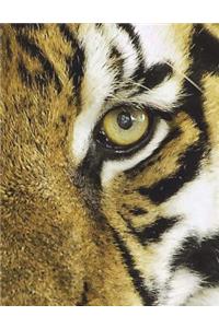 Tiger Notebook Large Size 8.5 x 11 Ruled 150 Pages