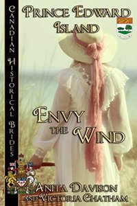 Envy The Wind