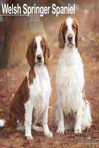 Welsh Springer Spaniel 2023 Wall Calendar