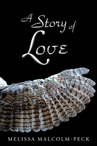 Story of Love