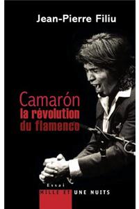 Camarón, la révolution du flamenco