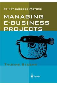 Managing E-Business Projects