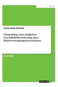 Überprüfung einer möglichen Geschäftsfelderweiterung eines Elektroversorgungsunternehmens
