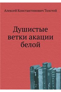 Душистые ветки акации белой