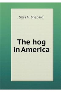 The hog in America