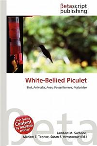 White-Bellied Piculet