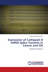 Expression of Cathepsin B mRNA Splice Variants in Cancer and OA