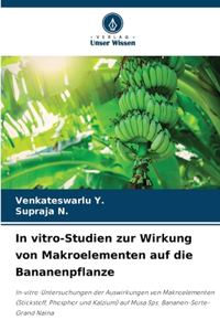 In vitro-Studien zur Wirkung von Makroelementen auf die Bananenpflanze