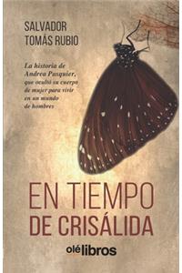 tiempo de crisálida