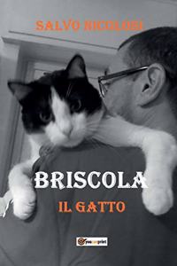 Briscola il Gatto