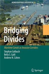 Bridging Divides