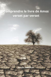 Comprendre le livre de Amos verset par verset