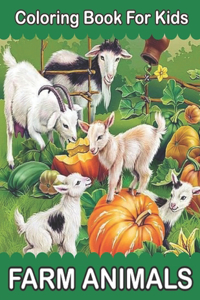 Farm Scenes Coloring Book