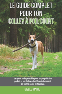 Le guide complet pour ton Colley À Poil Court