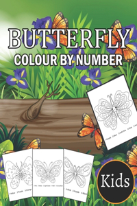 Butterfly Colour By Number Kids