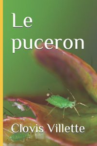 Le puceron