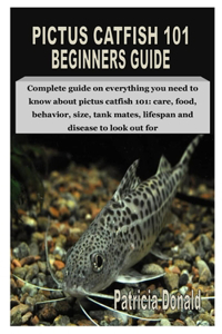 Pictus Catfish 101 Beginners Guide