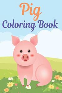 Pig Coloring Book