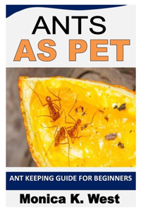 Ants as Pet