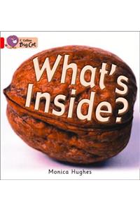 What’s Inside? Workbook