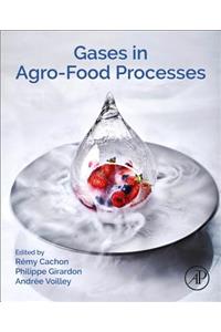 Gases in Agro-Food Processes